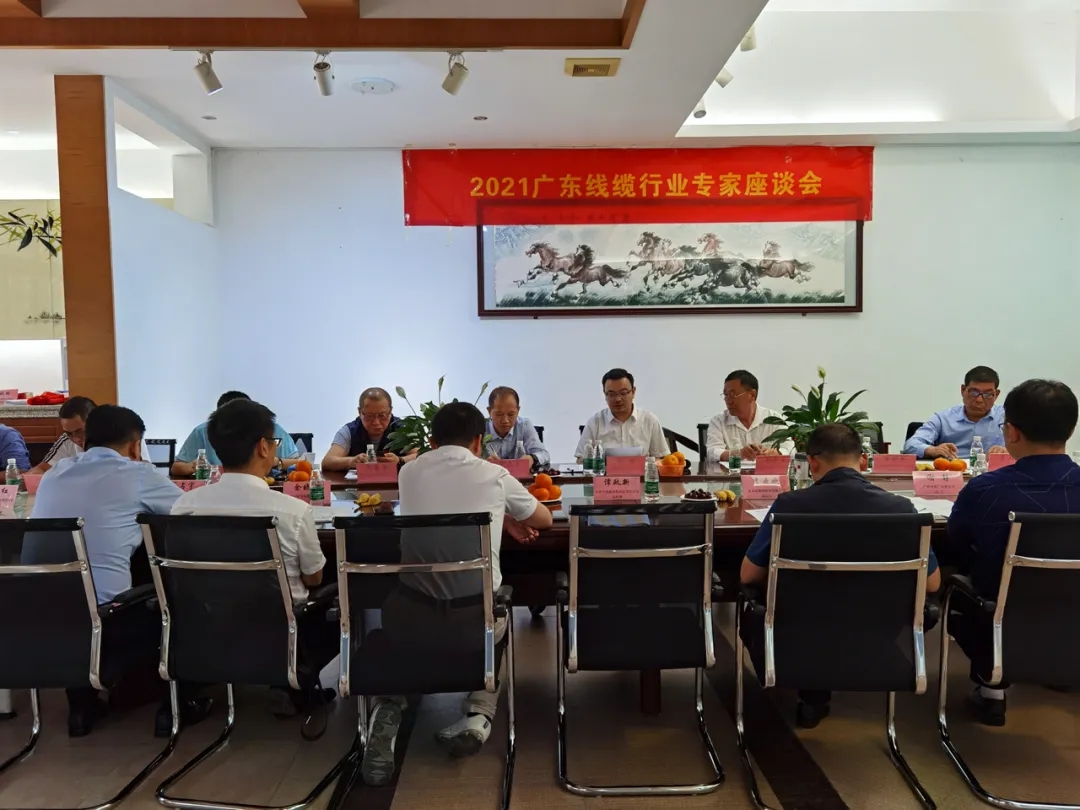 廣(guǎng)東電纜廠(chǎng)有限公(gōng)司 春梦直播電纜廠有限公(gōng)司