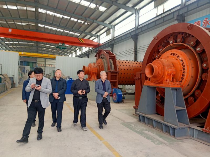 市領（lǐng）導（dǎo）來公司考察高（gāo）低壓電機和永磁直驅球磨機